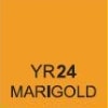 YR24 Marigold
