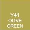 Y41 Olive Green