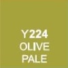 Y224 Olive Pale