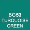 BG53 Turquoise Green